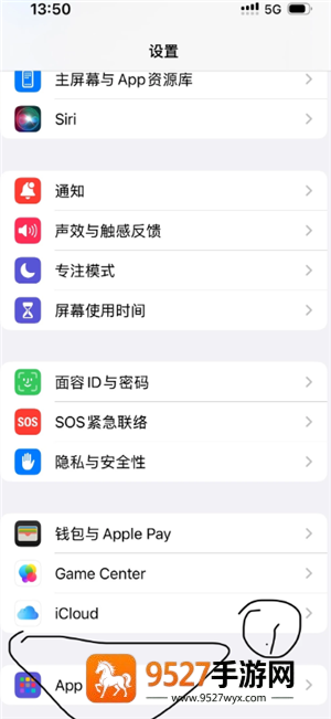 苹果微信视频摄像头开了不显示怎么办 苹果微信视频摄像头开了不显示解决方法 苹果微信视频摄像头开了不显示怎么办 苹果微信视频摄像头开了不显示解决方法