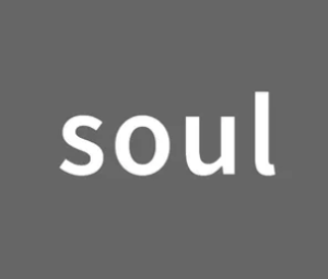 soul聊骚暗语是什么 soul聊骚暗语大全【玩法】