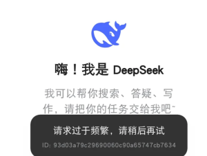 deepseek消息发送过于频繁怎么解除 deepseek消息发送过于频繁解决方法【操作指南】