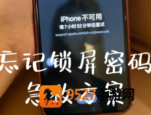 苹果手机密码忘了怎么办 苹果手机密码忘了解决方法 苹果手机密码忘了怎么办 苹果手机密码忘了解决方法