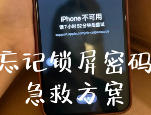 苹果手机密码忘了怎么办 苹果手机密码忘了解决方法【养成方法】