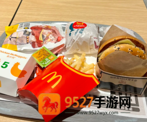 麦当劳麦金卡有什么权益 麦当劳麦金卡一天能用几次 麦当劳麦金卡有什么权益 麦当劳麦金卡一天能用几次