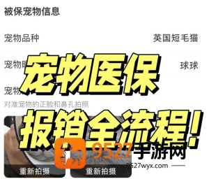 支付宝宠物保险报销流程 支付宝宠物保险报销流程