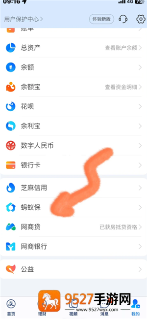 支付宝宠物保险报销流程 支付宝宠物保险报销比例 支付宝宠物保险报销流程 支付宝宠物保险报销比例