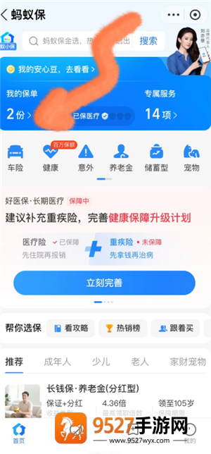 支付宝宠物保险报销流程 支付宝宠物保险报销比例 支付宝宠物保险报销流程 支付宝宠物保险报销比例