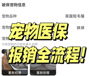 支付宝宠物保险报销流程 支付宝宠物保险报销比例【必备技能】