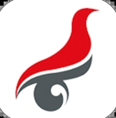 学信网查重入口在哪里 学信网查重和知网查重区别大吗【分享】