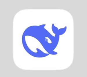 deepseek网页版入口 deepseek网页版怎么退出登录【攻略】