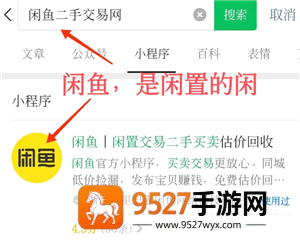 闲鱼怎么用微信支付 闲鱼用微信支付方法 闲鱼怎么用微信支付 闲鱼用微信支付方法