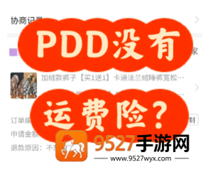 拼多多怎么申请运费险 拼多多申请运费险步骤 拼多多怎么申请运费险 拼多多申请运费险步骤