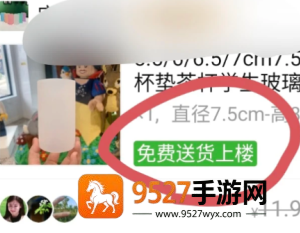 拼多多免费送货上门是真的吗 拼多多免费送货上门怎么操作 拼多多免费送货上门是真的吗 拼多多免费送货上门怎么操作
