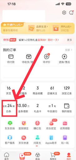 京东白条24小时人工客服电话多少 京东白条客服电话怎么转人工 京东白条24小时人工客服电话多少 京东白条客服电话怎么转人工