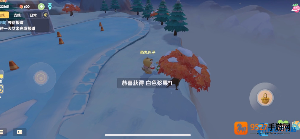 浆果雨蘑菇三重奏