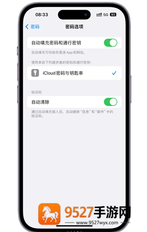 iPhone怎么自动清除验证码短信 iPhone自动清除验证码短信步骤 iPhone怎么自动清除验证码短信 iPhone自动清除验证码短信步骤