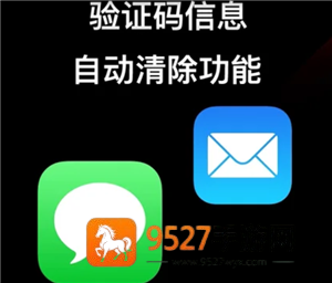 iPhone怎么自动清除验证码短信 iPhone自动清除验证码短信步骤 iPhone怎么自动清除验证码短信 iPhone自动清除验证码短信步骤