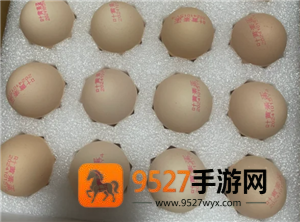 1号会员店怎么领鸡蛋 1号会员店领鸡蛋流程 1号会员店怎么领鸡蛋 1号会员店领鸡蛋流程