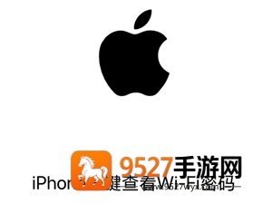 iphone怎么查看wifi密码 iphone查看wifi密码步骤 iphone怎么查看wifi密码 iphone查看wifi密码步骤