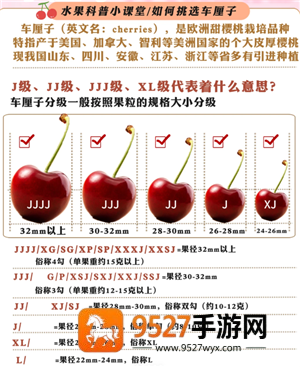 车厘子的j代表什么意思 车厘子的j级别是怎样的 车厘子的j代表什么意思 车厘子的j级别是怎样的