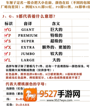 车厘子的j代表什么意思 车厘子的j级别是怎样的 车厘子的j代表什么意思 车厘子的j级别是怎样的