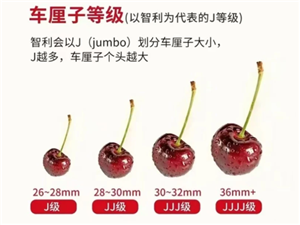 车厘子的j代表什么意思 车厘子的j级别是怎样的【全攻略】
