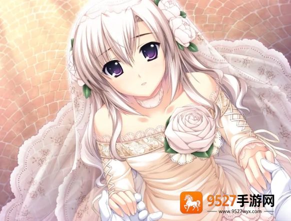 g弦上的魔王安卓汉化版