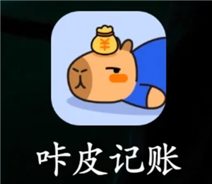 咔皮记账怎么自动记账 咔皮记账自动记账安全吗【详细指南】