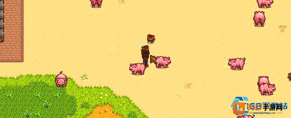 星露谷养猪流松露全攻略