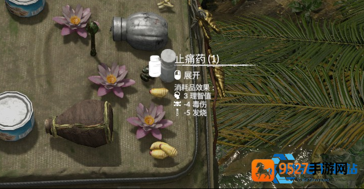 丛林生存退烧手册