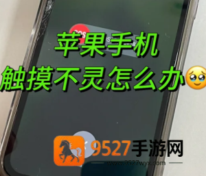 苹果手机屏幕失灵点不动怎么办 苹果手机屏幕失灵点不动什么原因