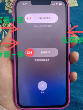 苹果手机屏幕失灵点不动怎么办 苹果手机屏幕失灵点不动什么原因