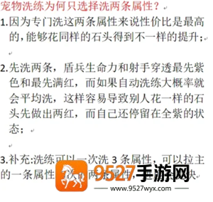 无尽冬日宠物升级顺序 无尽冬日宠物洗练攻略
