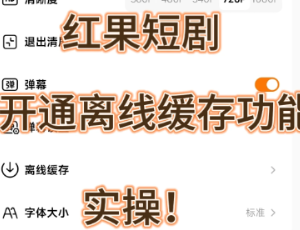 红果短剧怎么下载缓存 红果短剧下载缓存方法【测评】