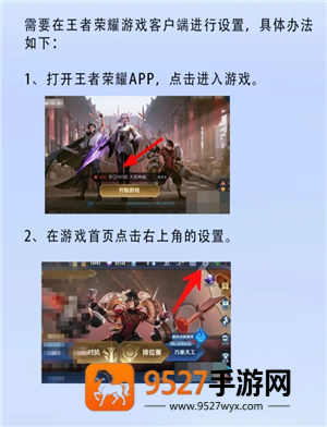 王者荣耀怎么设置隐私状态 王者荣耀怎么设置战绩别人看不见
