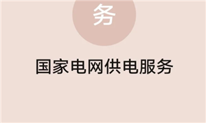 网上国网客服人工电话多少 网上国网客服电话怎么转人工【干货】