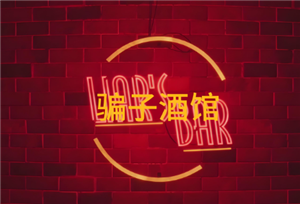 骗子酒馆玩法介绍 骗子酒馆打牌规则【完全解析】