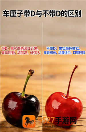 车厘子的j代表什么意思 车厘子的j级别是怎样的