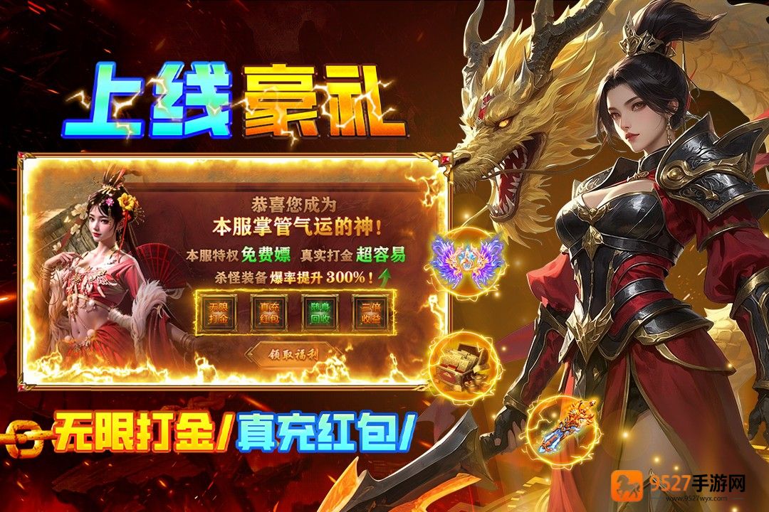 疾风之翼九游版
