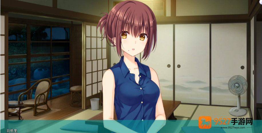 夏日口袋汉化版安卓直装