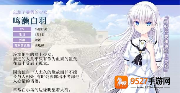 夏日口袋全解锁版