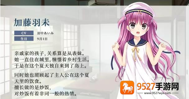 夏日口袋全解锁版