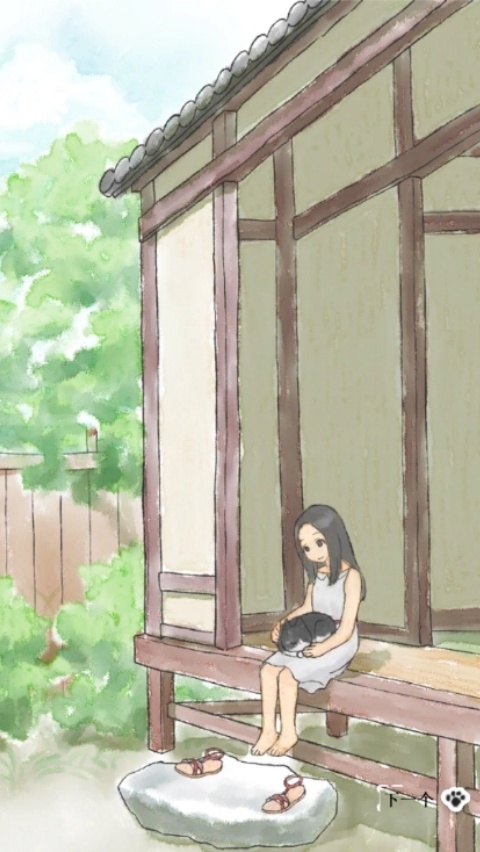 迷路猫咪的故事