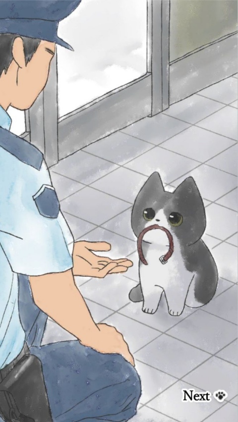 迷路猫咪的故事
