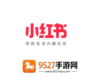 小红书先用后付额度在哪里看 小红书先用后付最迟多长时间付款