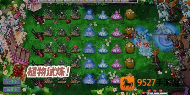 植物大战僵尸共生版下载最新版本