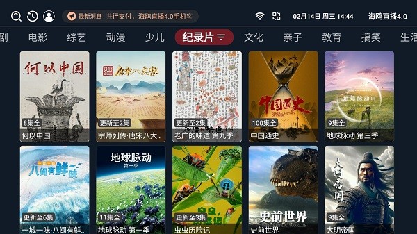 海鸥直播