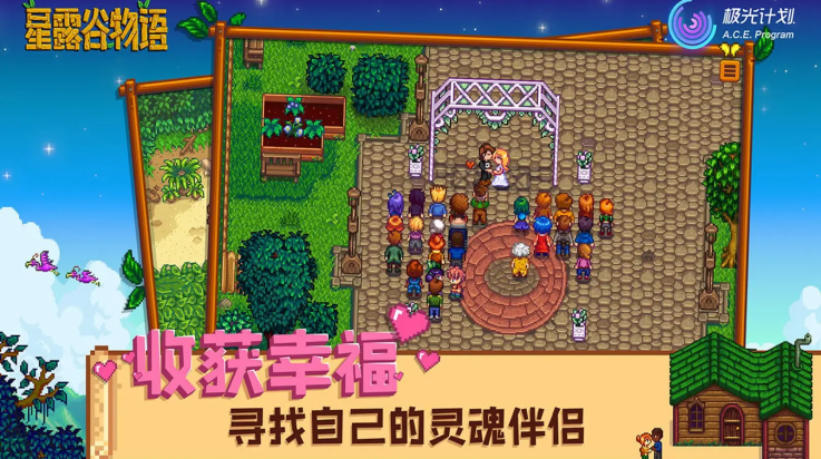 星露谷物语