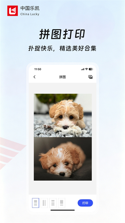 乐凯乐印