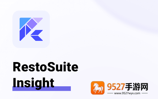 RS Insight官方正版
