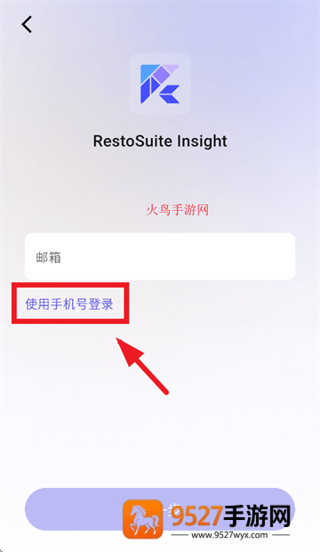 RS Insight官方正版