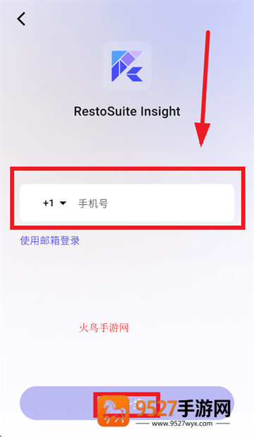 RS Insight官方正版